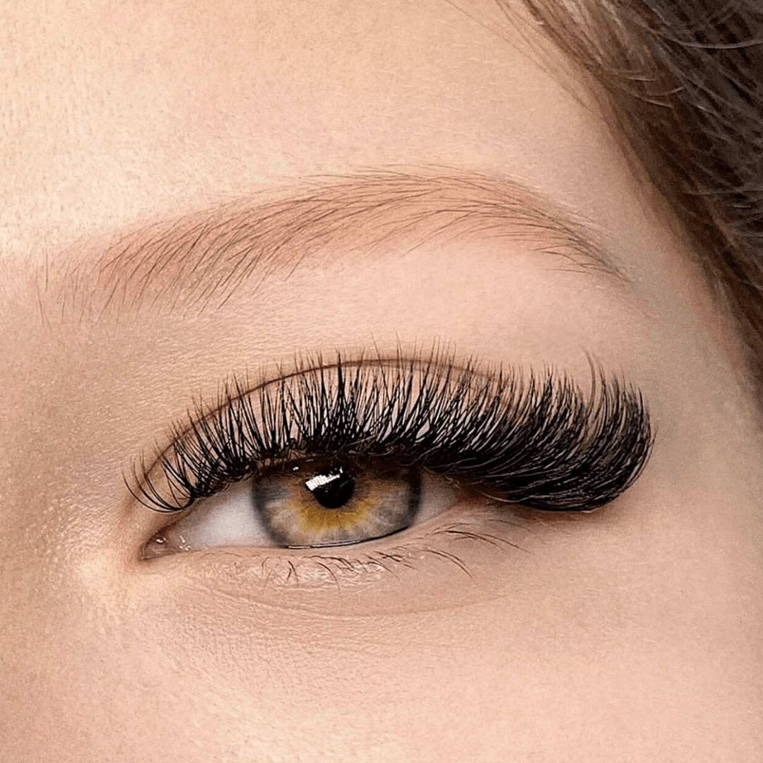 Miss Intention Eyelash Eyebrows