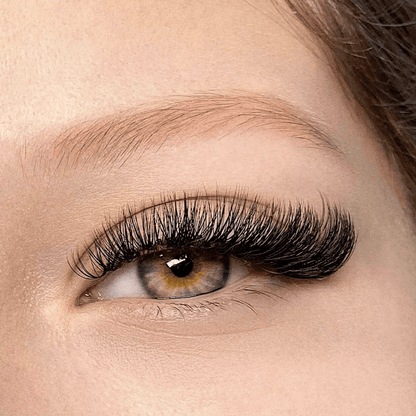 Miss Intention Eyelash Eyebrows